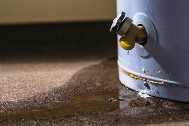 Best Sewage cleanup and water damage restoration  in Hellertown, PA