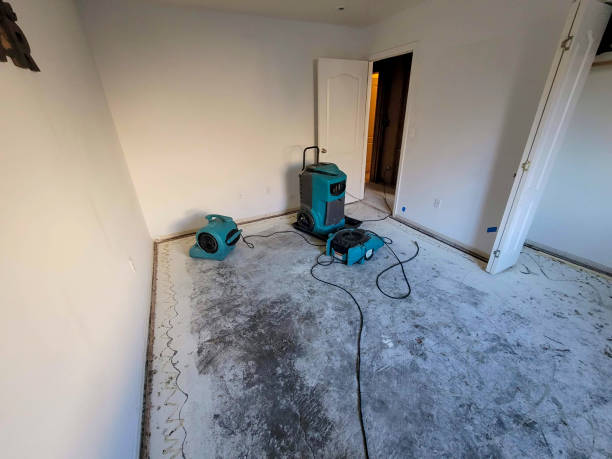 Best Fire Damage Restoration  in Hellertown, PA