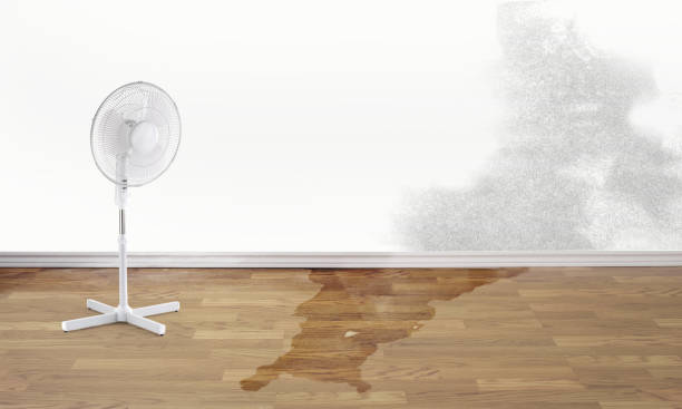 Best Local water damage restoration  in Hellertown, PA