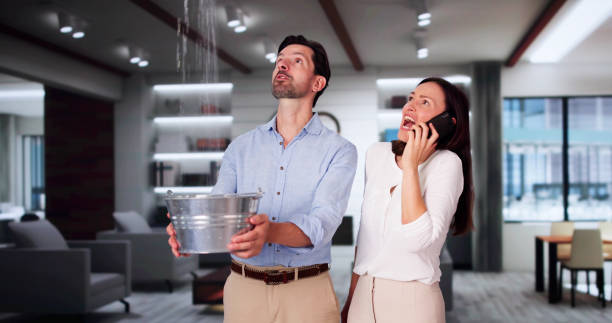 Best Flood damage cleanup  in Hellertown, PA